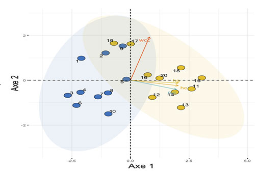Classification non supervisée