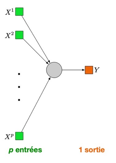 Perceptron simple
