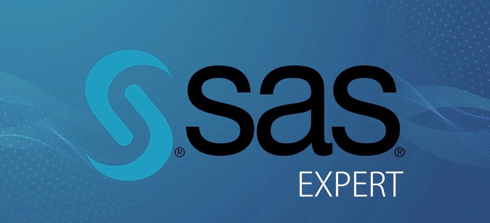 SAS expert