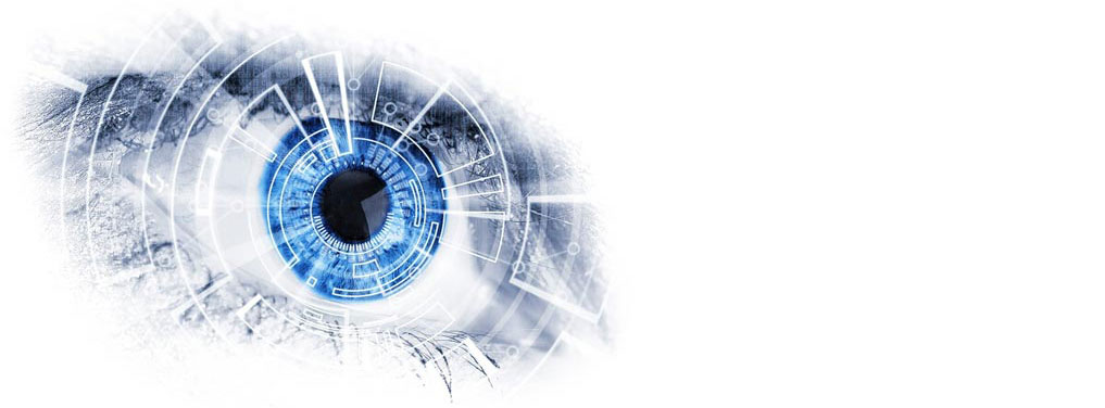 Comprendre et adapter un Large Vision Model (LVM)